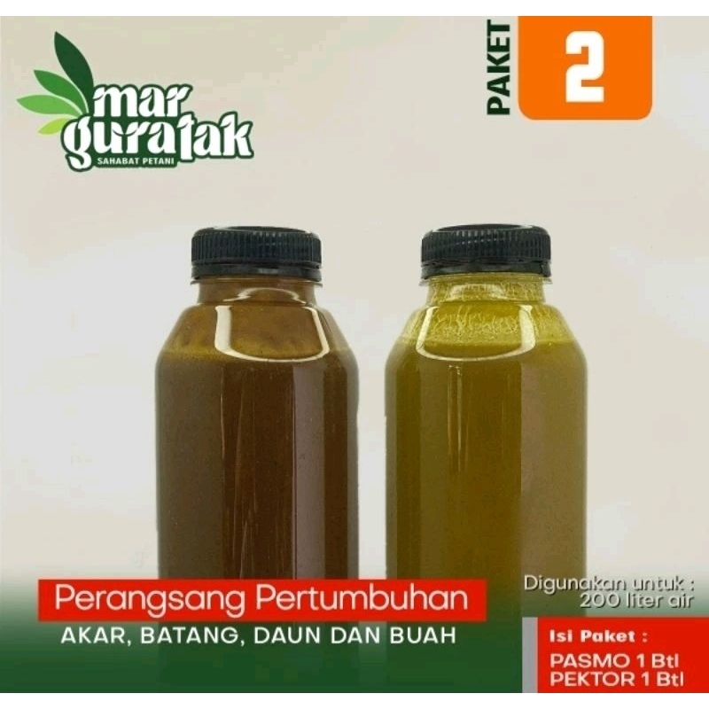 PASMO dan PEKTOR