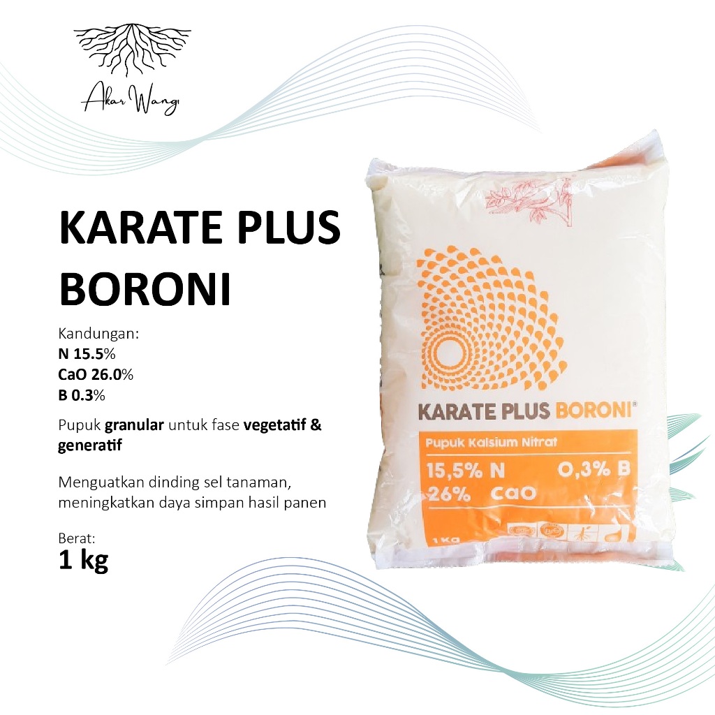KARATE PLUS BORONI 1 KG