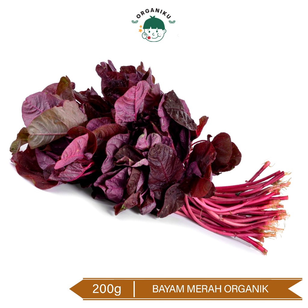 

Bayam Merah Organik 200g / Organic Red Spinach 200g