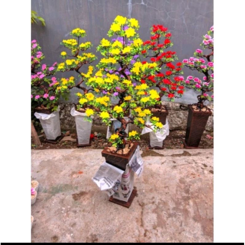 bunga hias sudut ruangan