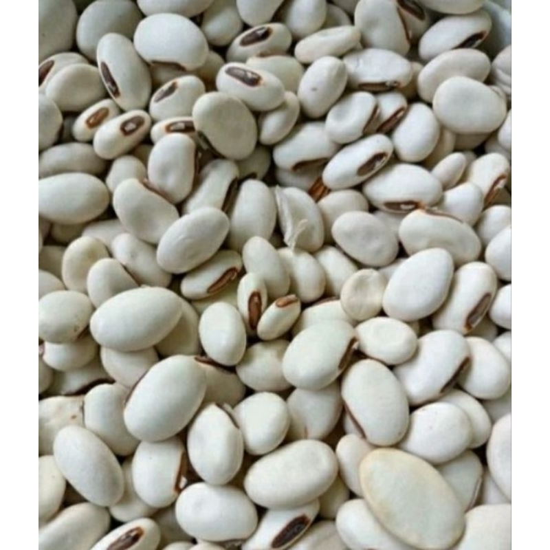 

Kacang koro ,Wonogiri .Sangat langka.500 gram