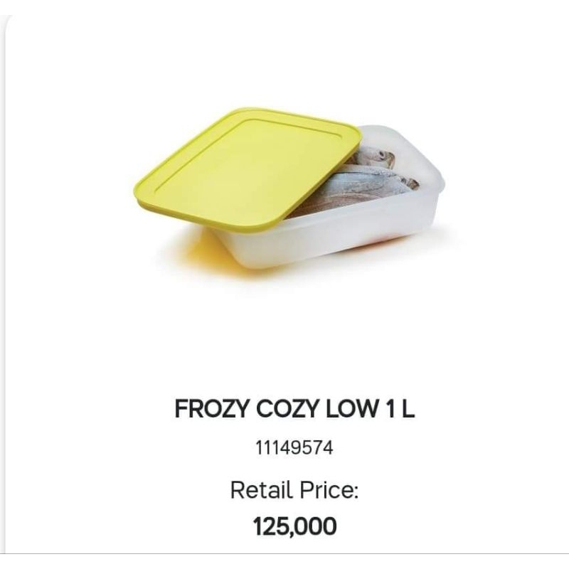 frozy cozy  tupperware