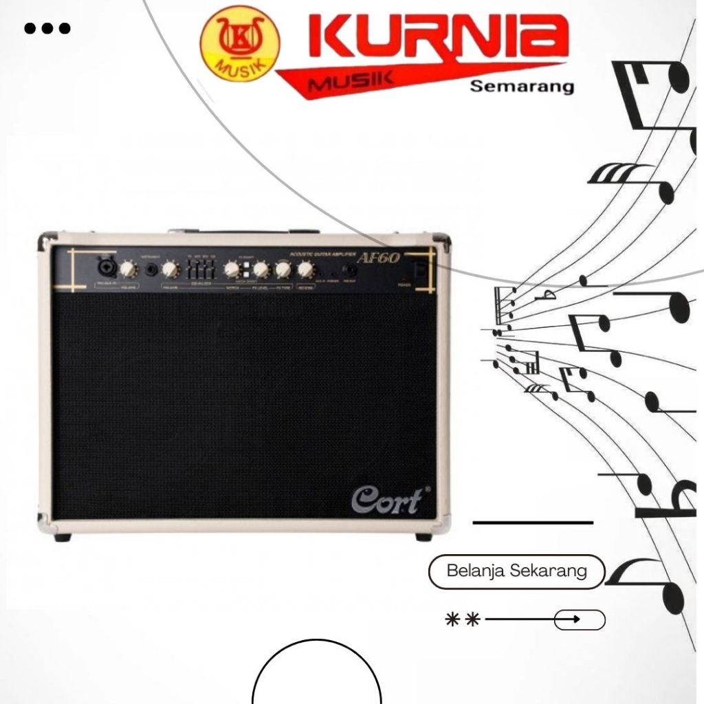 CORT AF60 / AF 60 / AF-60 Acoustic Guitar Amplifier