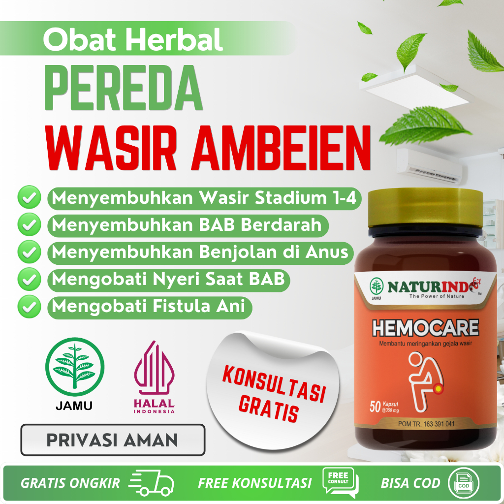 Obat Wasir Stadium 4 Ambeien Paling Ampuh Herbal Hemocare Naturindo