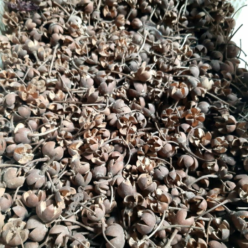 

BIJI PUSPO NATURAL
