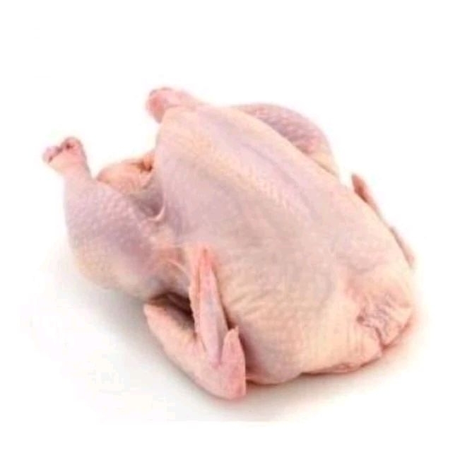 

Ayam Negeri Utuh Frozen 1 kg