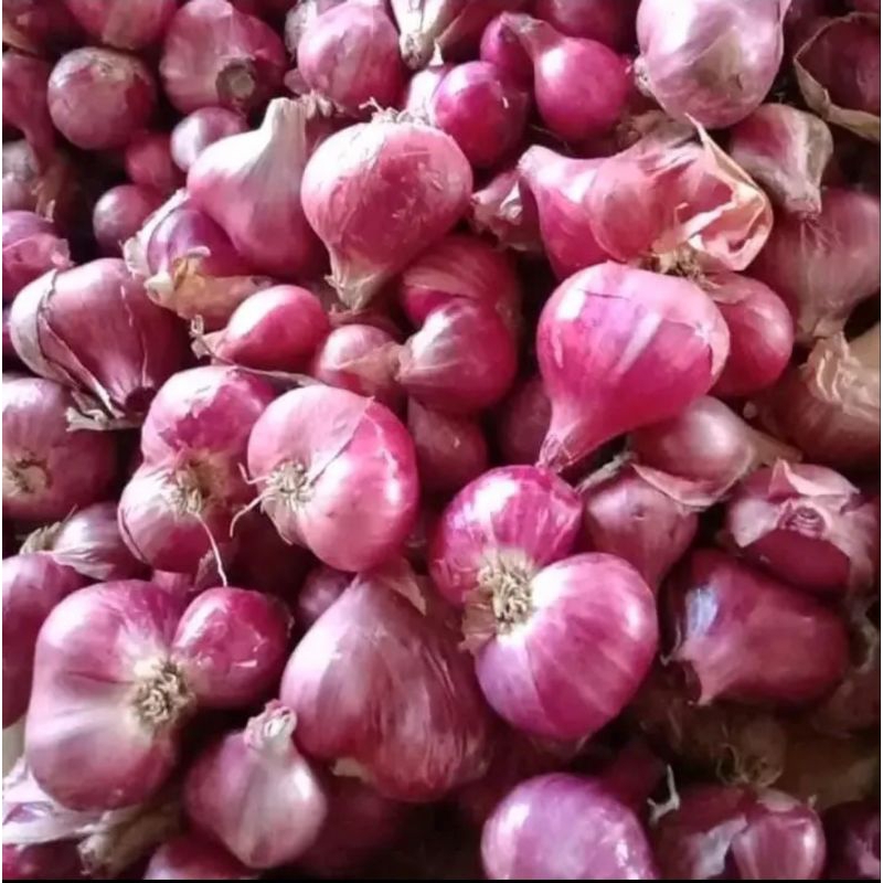 

bawang merah nganjuk kemasan 1250gr
