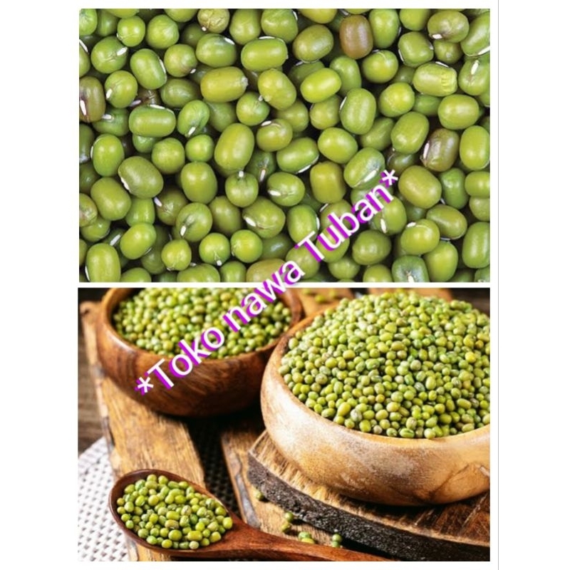 kacang hijau 1kg,benih kacang hijau 1kg, bibit kacang hijau 1kg