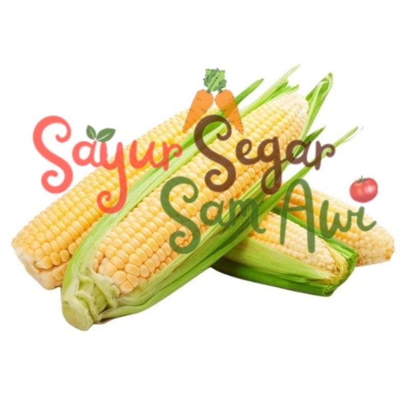 

JAGUNG MANIS 1 KG | INSTANT MALANG | SAYUR SEGAR | SAYUR SEGAR SAM AWI