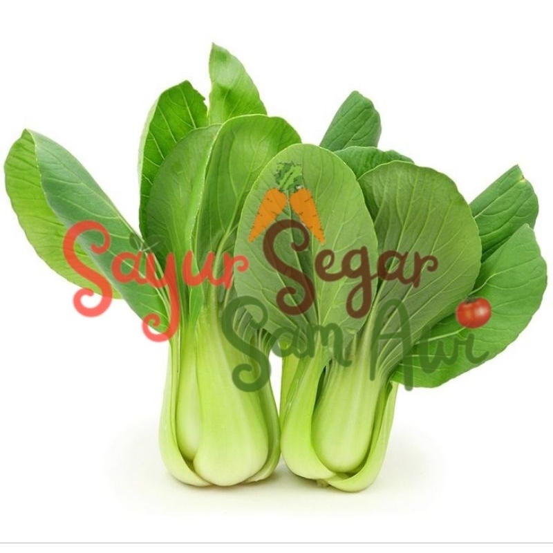 

POKCOY / SAWI DAGING 250 gram | INSTANT MALANG | SAYUR SEGAR | SAYUR SEGAR SAM AWI