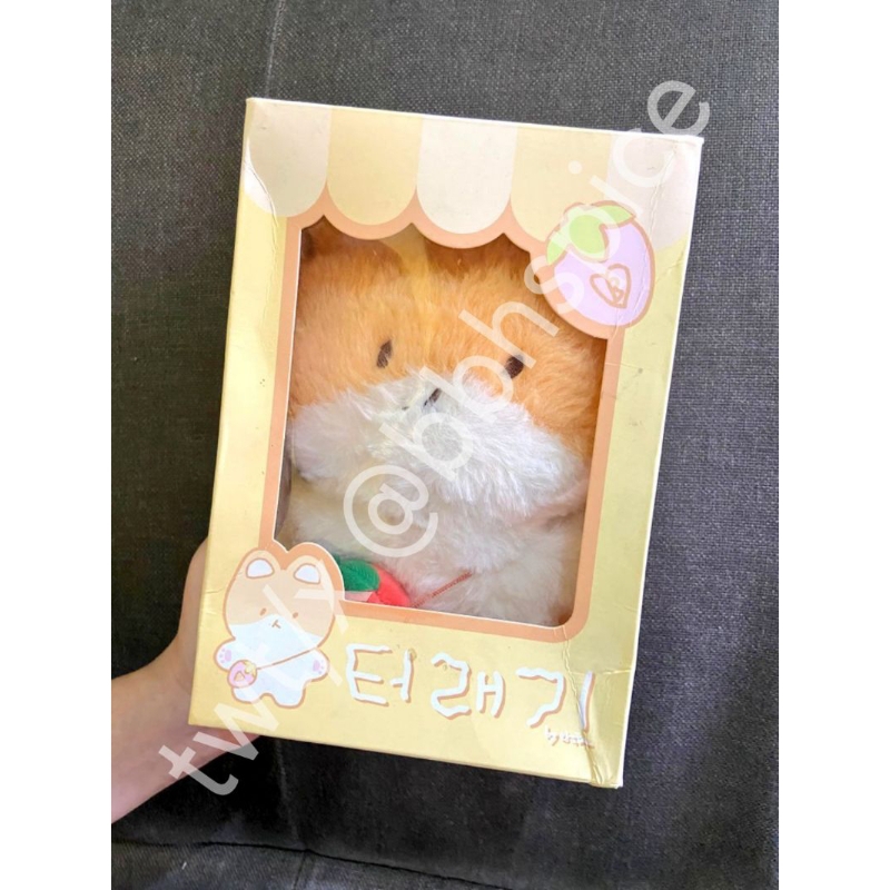 Teolaegi 20 cm official teolaegi by baekhyun