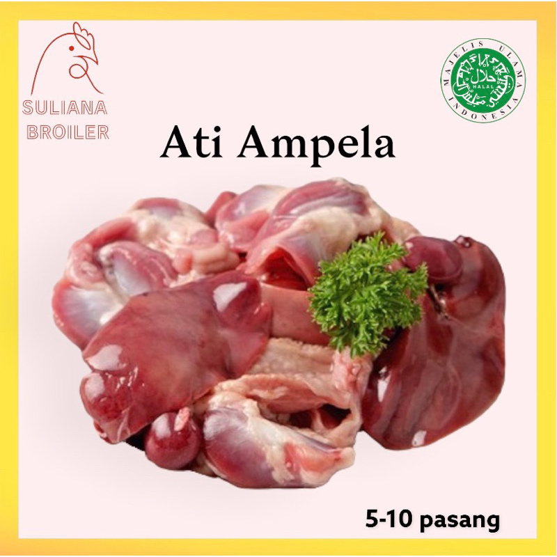

Ati Ampela ayam Fresh & Frozen