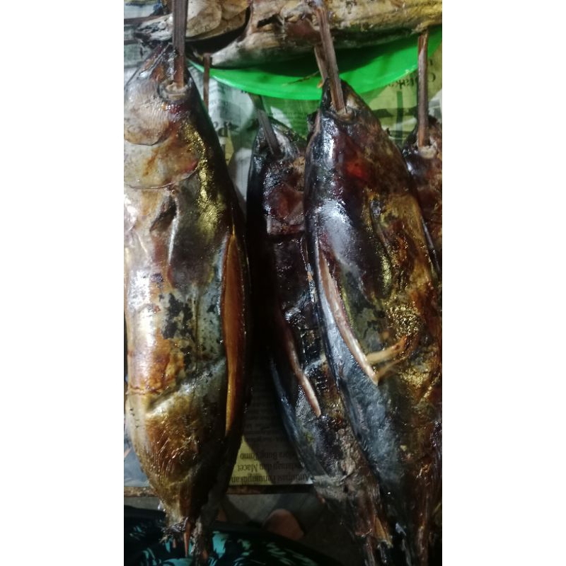 

Forcysn Tuna Asap Bijian