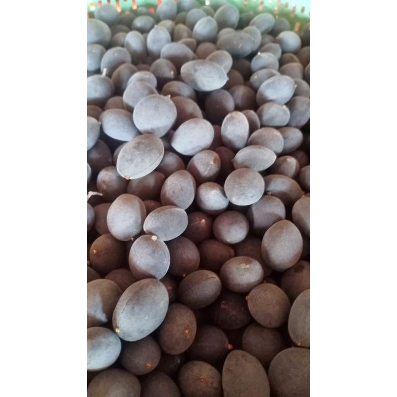 

BUAH LOKAK SUMATRA SELATAN KERANJI