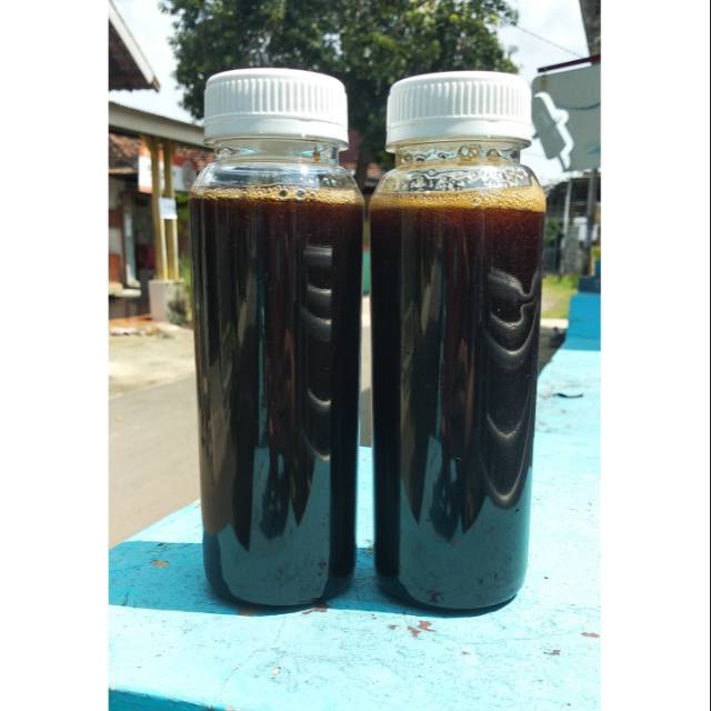 

Madu ternak klanceng murni kemasan 250ml lebih terjangkau