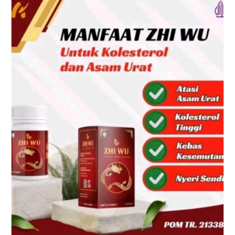 

OBAT HERBAL ZHI WU OBAT ASAM URAT BPOM
