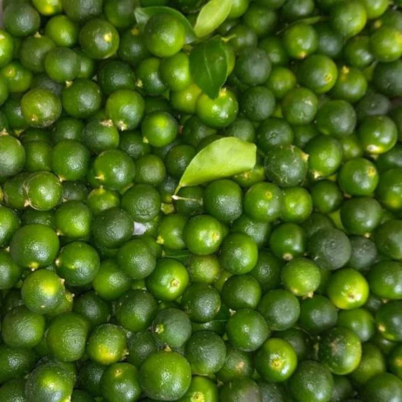 

Jeruk Limau/Jeruk Kesturi 500gram