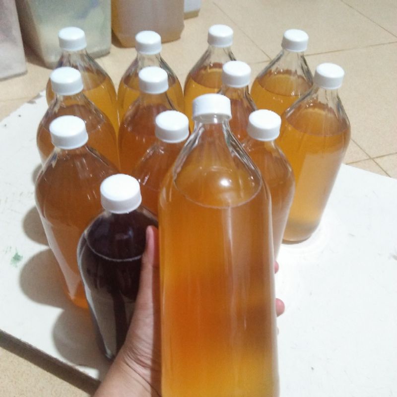 

KOMBUCHA TEH HIJAU