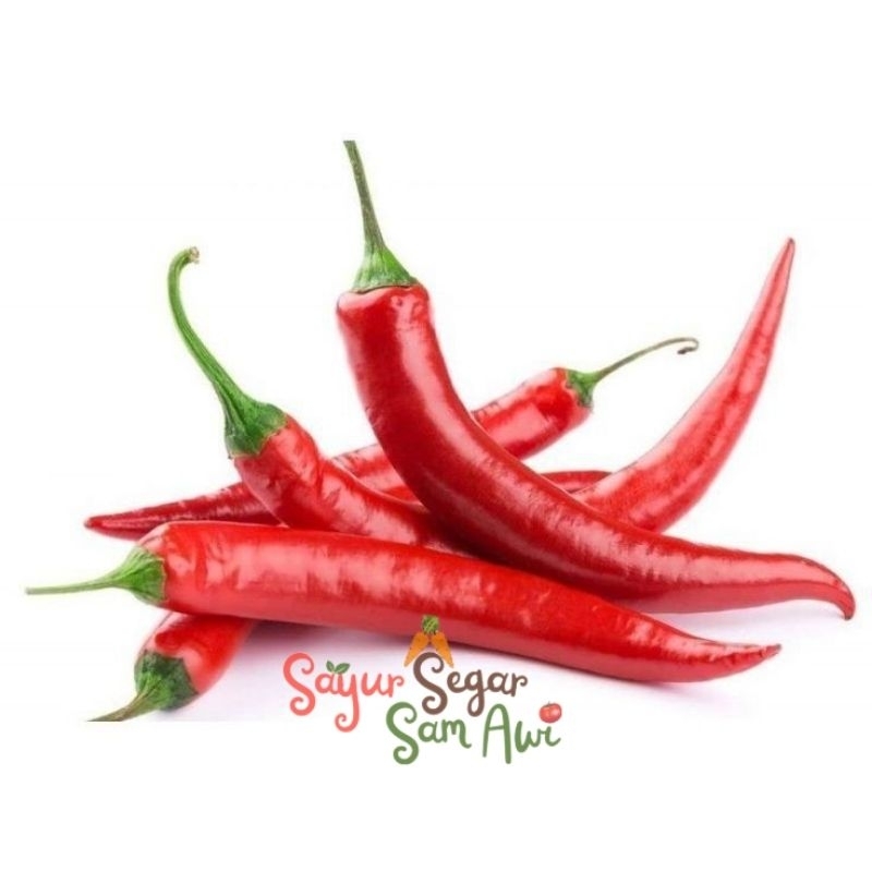 

CABE MERAH BESAR | INSTANT MALANG | SAYUR SEGAR | SAYUR SEGAR SAM AWI