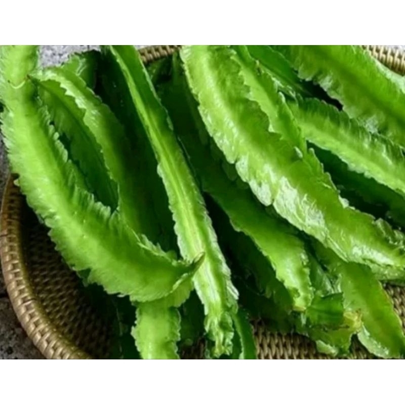 

SAYUR KECIPIR PER BUNGKUS / JAMIN SEGAR / VEGETABLE