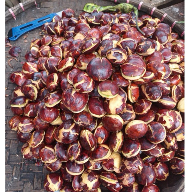 

Jengkol sepi 500gr