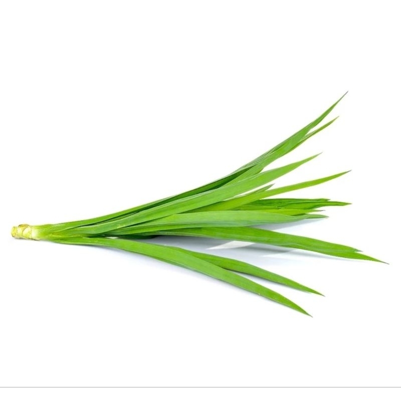 

Pandan Wangi Vacum 50gr Kirim Ke Seluruh Indonesia