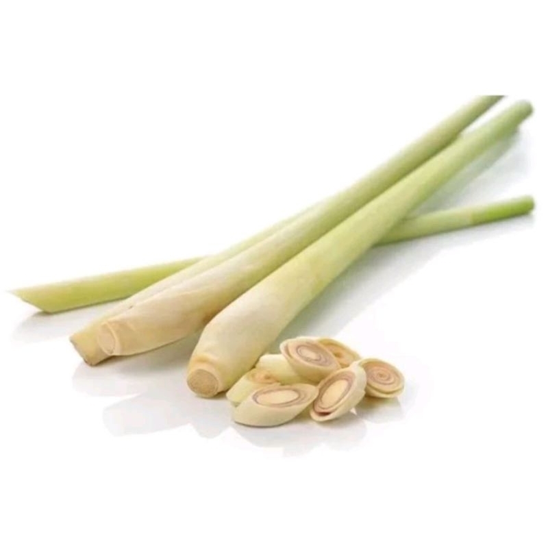 

Sereh Wangi / Kamijara Brebes Vacum dikirim Seluruh Indonesia