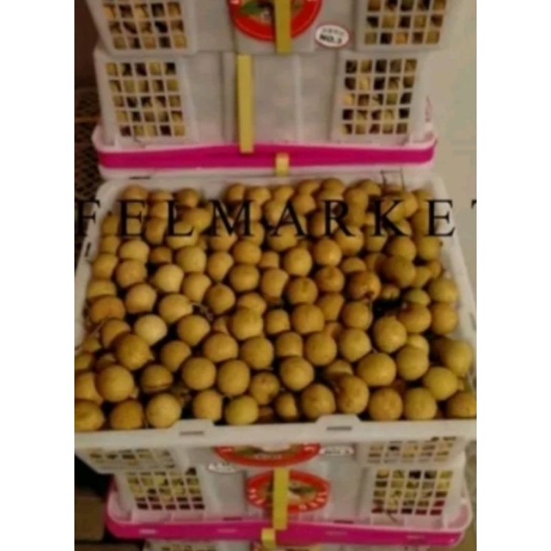 

Buah klengkeng manis fresh (1kranjang)