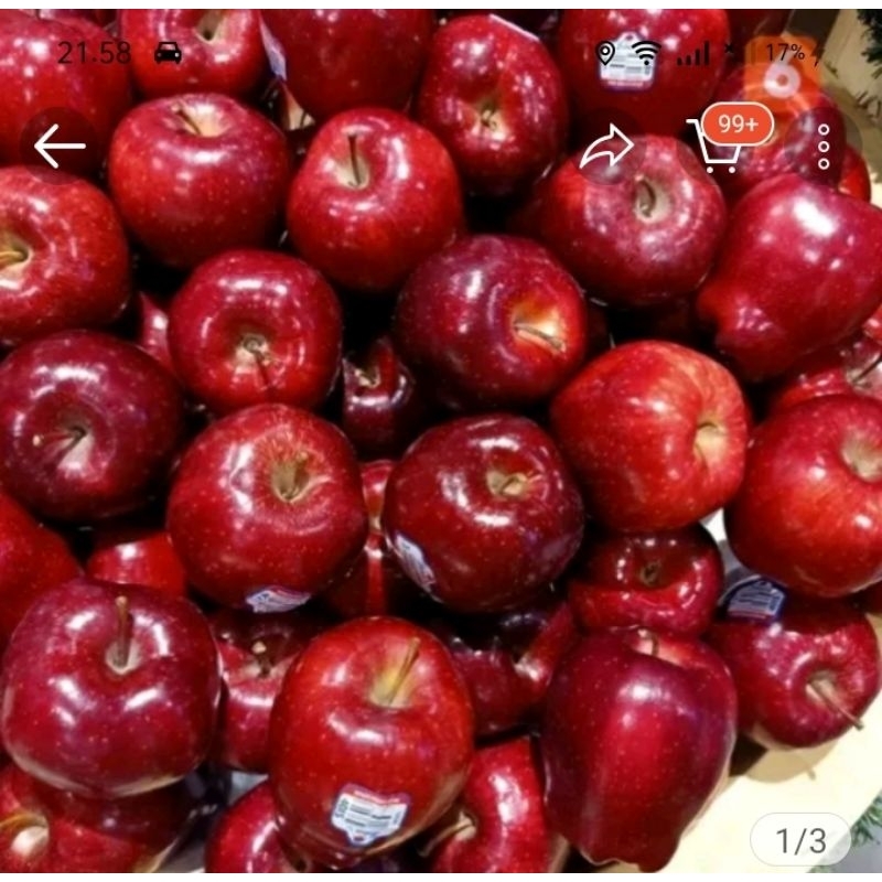 

Apel Merah Washington 1Dus fresh import
