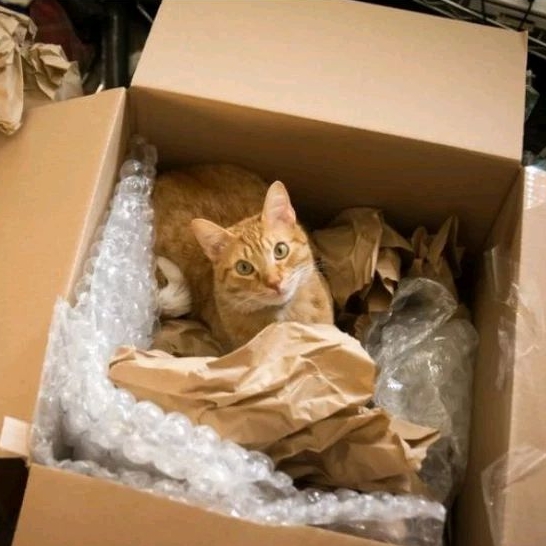 

TAMBAHAN UNTUK PACKING