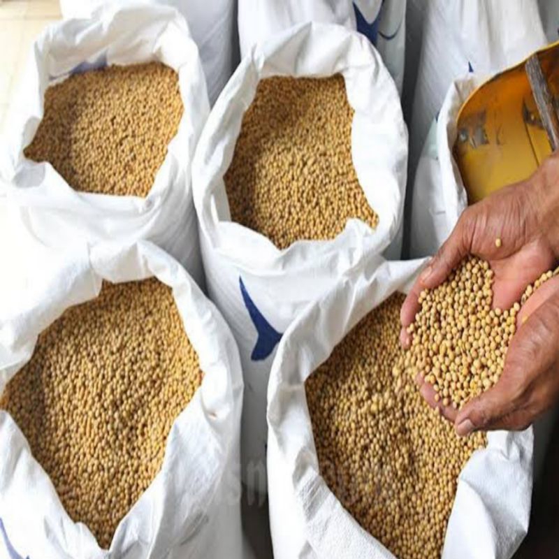 

Kacang Kedelai Import 50 Kg(Grade.A)Sudah bersih dari sampah)