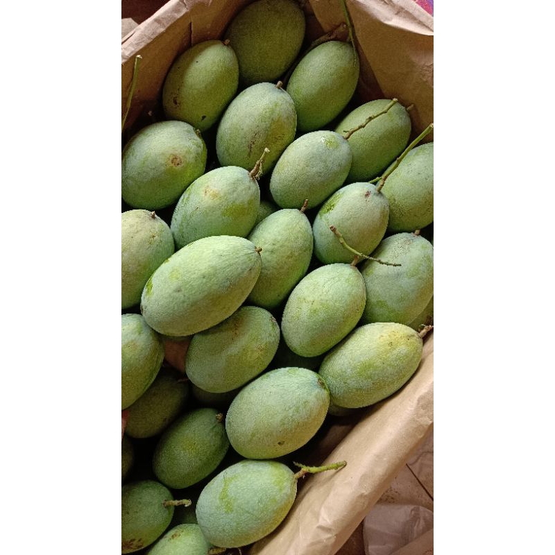 

mangga muda 1kg+sambel bangkok