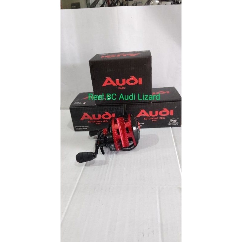 Reel BC Audi Lizard