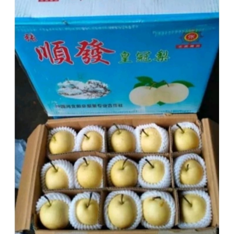 

Buah pear century 1Dus fresh