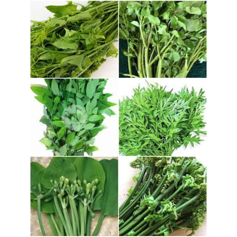 

kenikir, genjer, selada air, daun katuk, daun labu, pakis