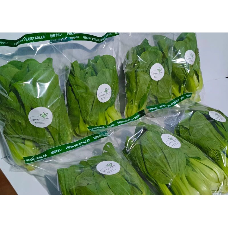 

Sawi Pokcoy (sawi sendok)