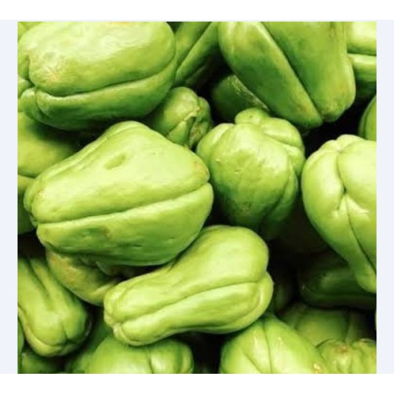 

ANAK JIPANG/JIPANG MUDA/JIPANG KECIL