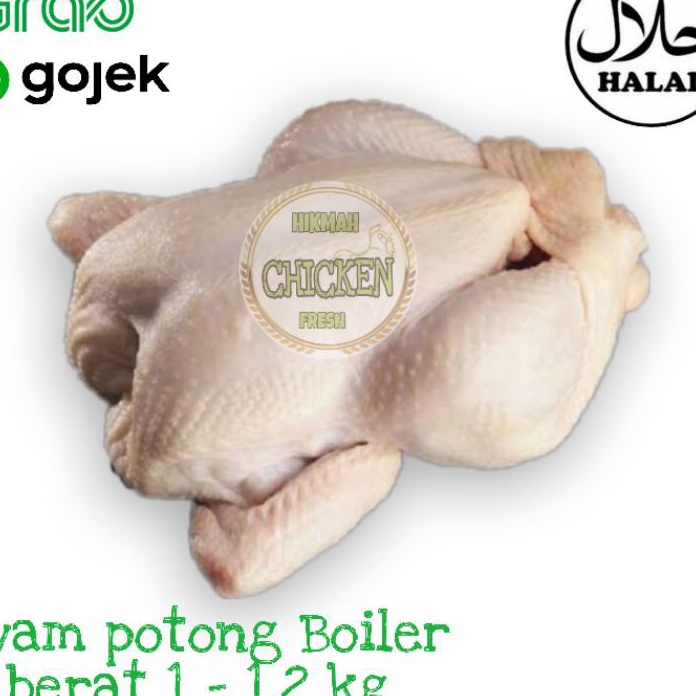 

STOK SIAP COD Ayam potong boiler karkas fresh segar berkualitas termurah 1 12 kg
