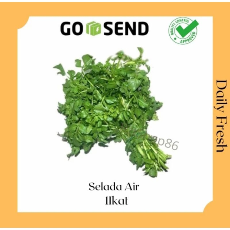 

Sayur Segar Selada Air