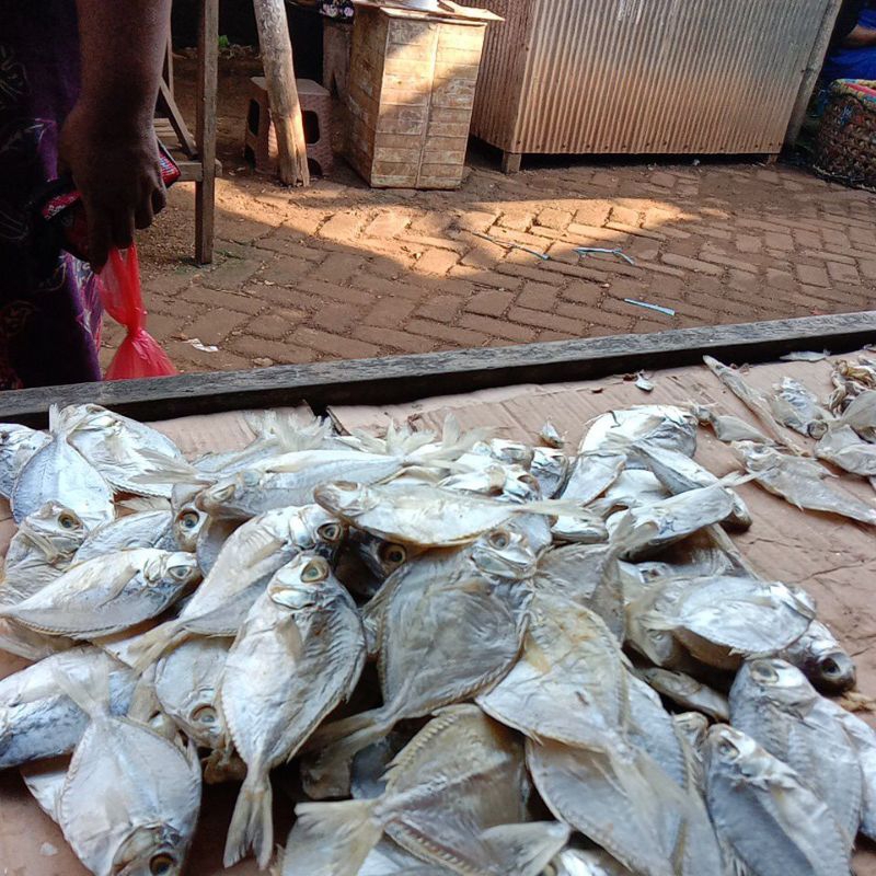 

ikan asin kopek Madura 500 gram