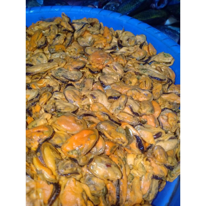 

Kerang hijau kupas / daging kerang hijau