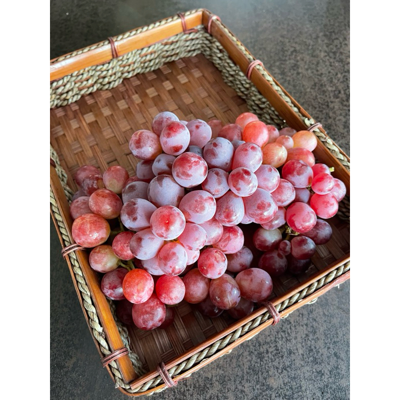 

DUTA BUAH SBY Anggur Merah Red Globe Aussie - (500g)