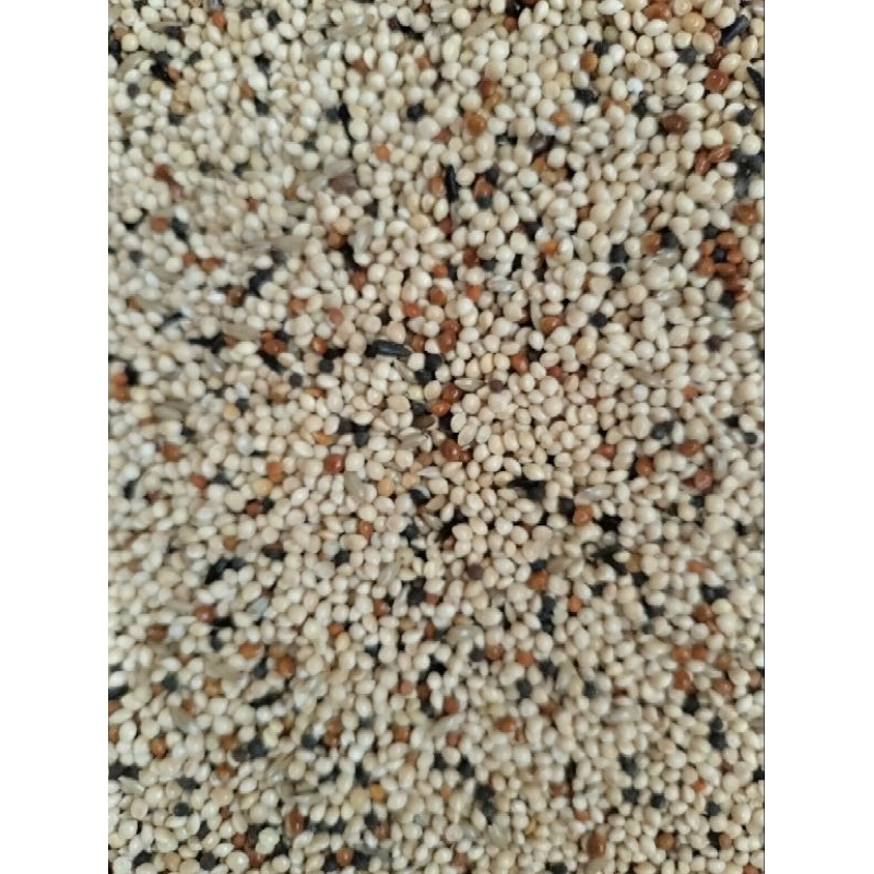 milet campur pakan burung perkutut Lovebird 1kg