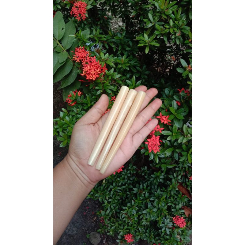 once/pipa tulang sapi