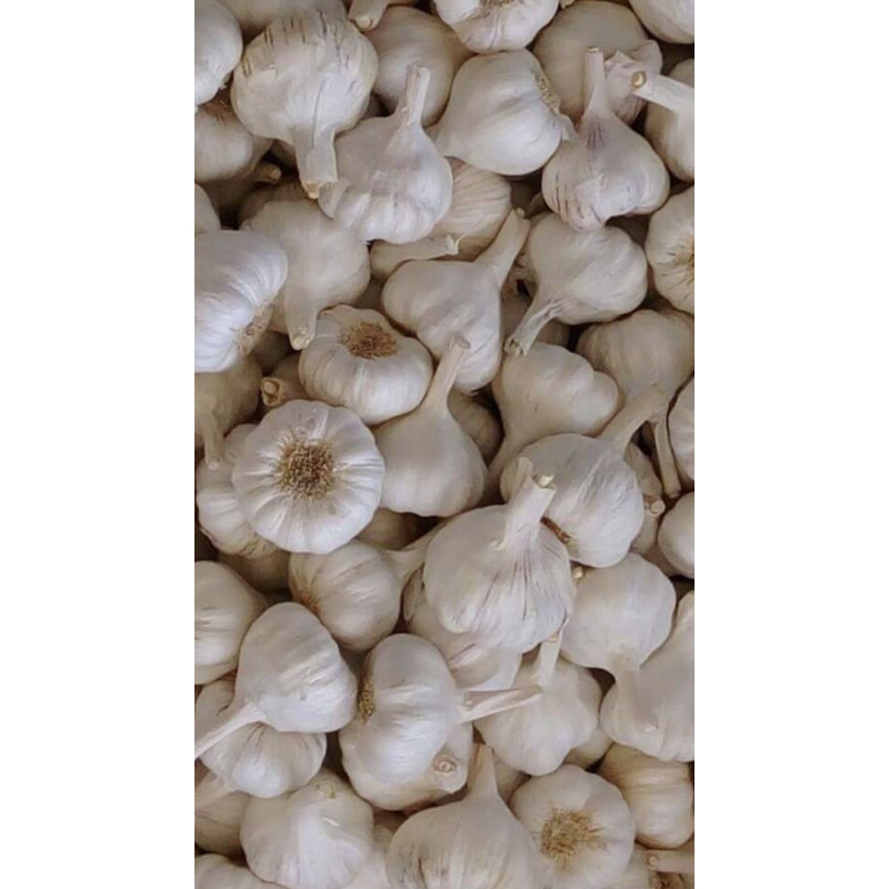 

Bawang Putih 500gr