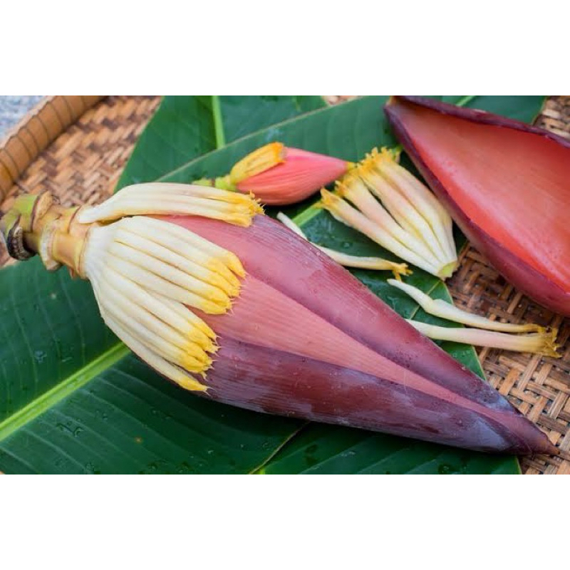 

JANTUNG PISANG SEGAR PERbiji