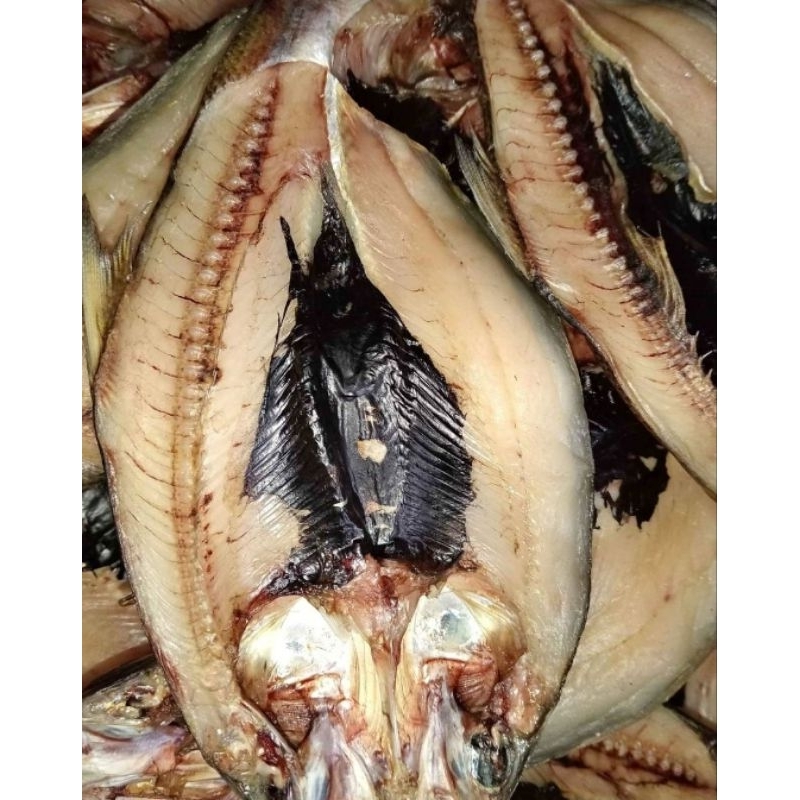 

Ikan bolu kering/bandeng kering