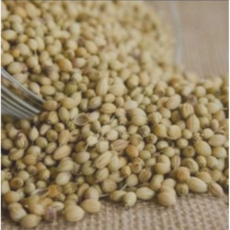 

BIJI KETUMBAR / CORIANDER SEED