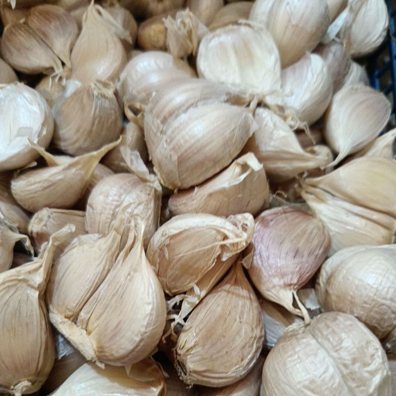 

bawang putih kating