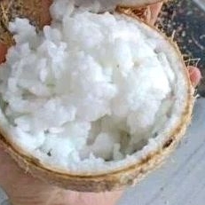 

buah kelapa kopyor asli 100 % size 41 42 khas Pati isi tebal